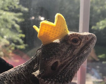 May include: A bearded dragon wearing a small, yellow crown. The reptile is gray and brown with a textured skin. It is resting on a red and black plaid blanket, with a window and greenery in the background.