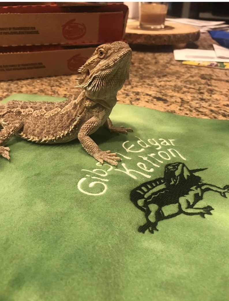 Bearded Dragon blanket Ubby with Dragon Design and Name image 3