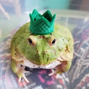 Frog or Gecko King Crown or Queen Crown