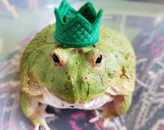 Frog or Gecko King Crown or Queen Crown