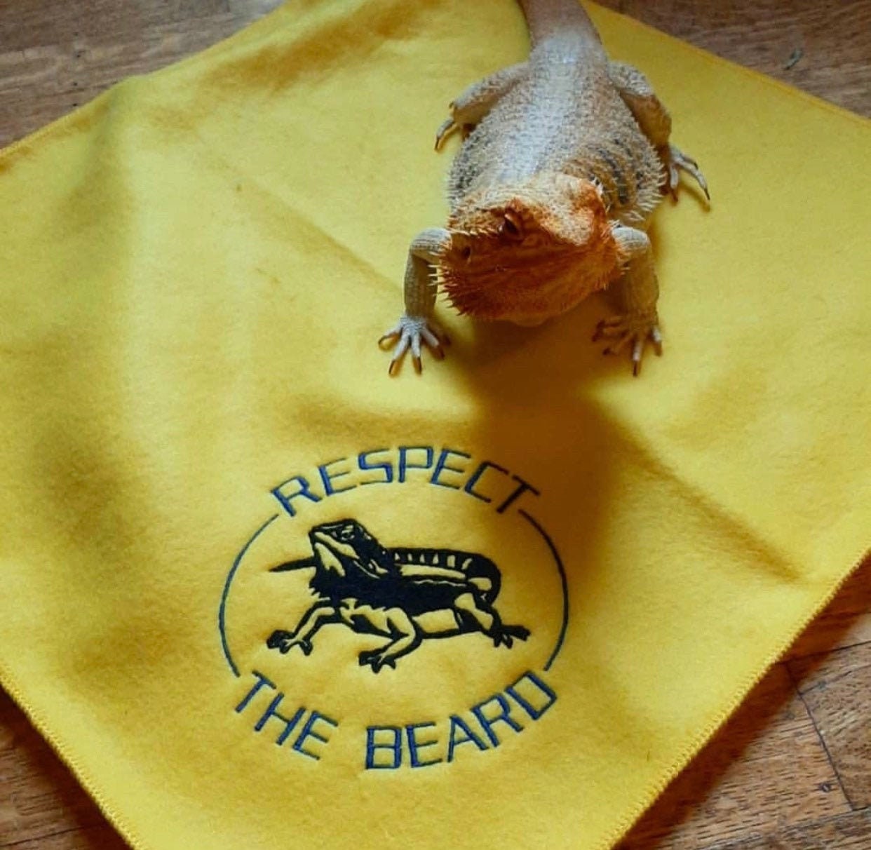 Bearded Dragon Ubby Blanket Respect the Beard Etsy