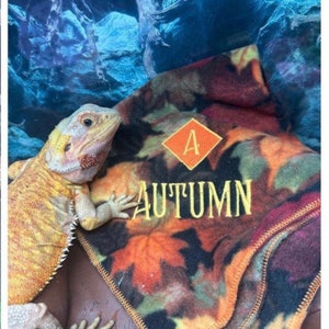 May include: A yellow and orange bearded dragon rests on a brown surface next to a fleece blanket. The blanket features a fall leaf pattern with the word "AUTUMN" embroidered in gold thread. An orange diamond with the letter "A" is also embroidered on the blanket.