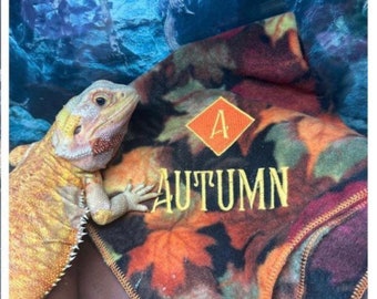 May include: A yellow and orange bearded dragon rests on a brown surface next to a fleece blanket. The blanket features a fall leaf pattern with the word "AUTUMN" embroidered in gold thread. An orange diamond with the letter "A" is also embroidered on the blanket.