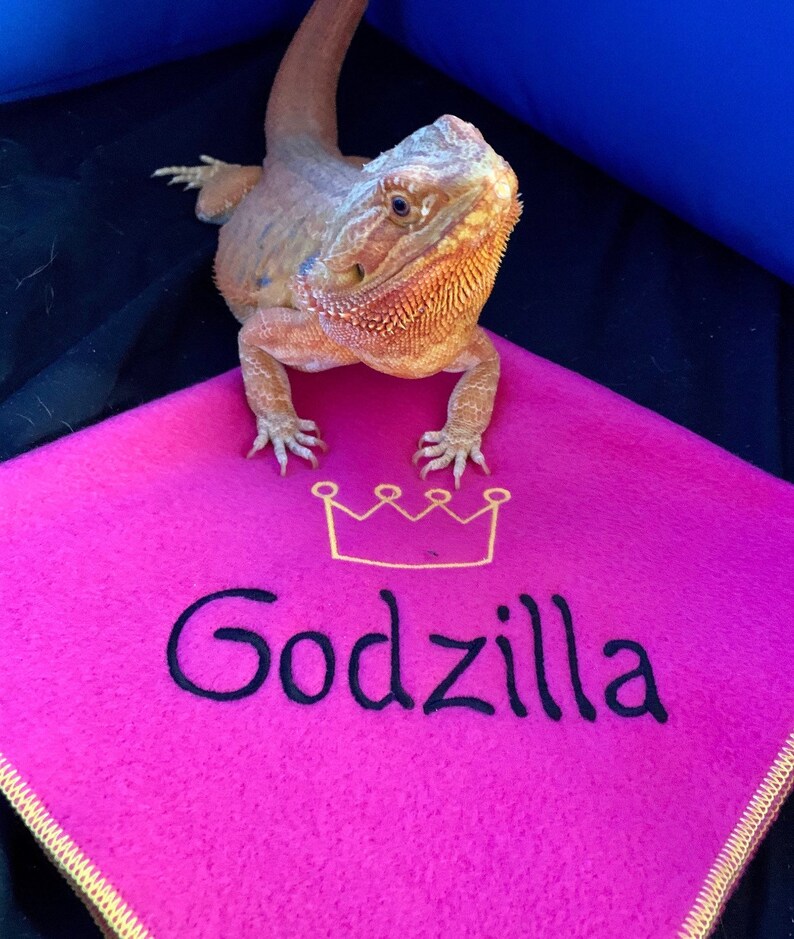 Bearded Dragon Blanket Ubby Reptile Blanket Ubby Etsy