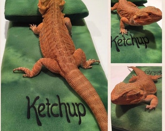 Bärtes Drachenbett Reptilienbett Ubby Bett