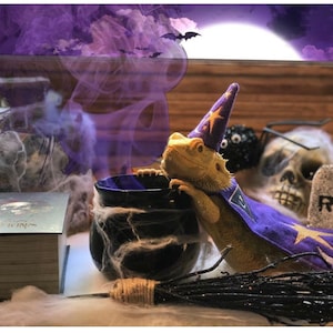 Bearded Dragon Wizard Costume: Felt Cape And/or Hat - Etsy