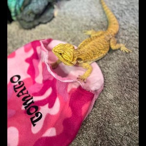 Puede incluir: Una taza de cerámica blanca con un asa negra y el texto "But First, Coffee" en negrita negra. La taza se encuentra sobre un fondo neutro, resaltando su diseño sencillo.