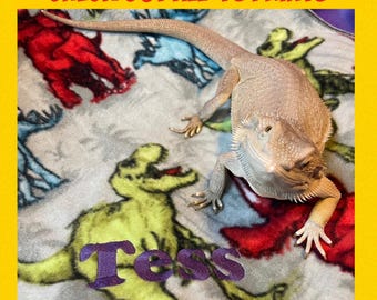Bearded Dragon Name Ubby Blanket