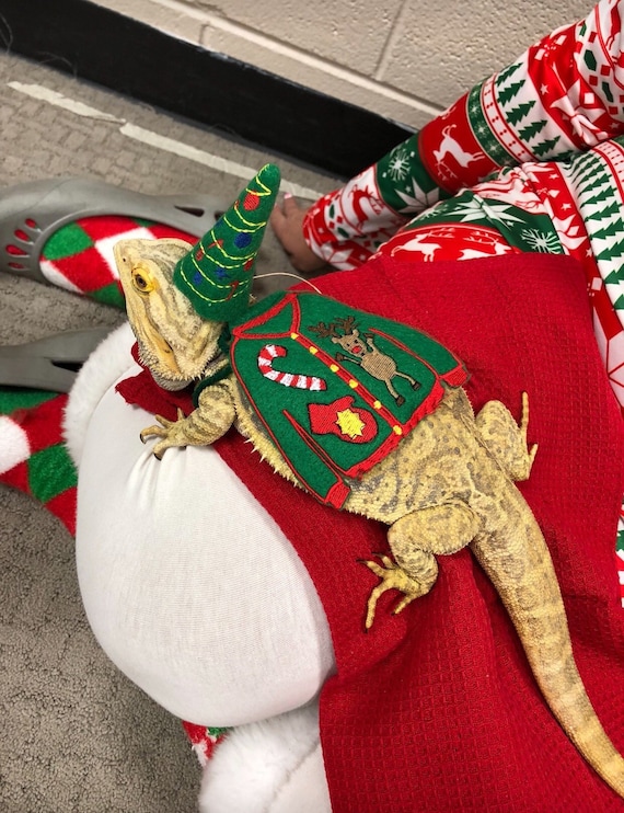 Bearded Dragon Ugly Sweater Cape and or 