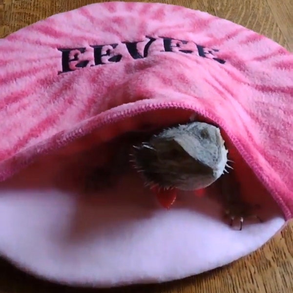 Bearded Dragon Hide Etsy