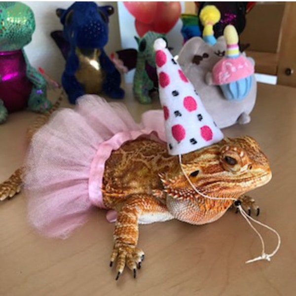 Bearded Dragon Birthday Girly Birthday Hat and Tutu Costume