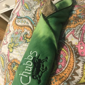 Bearded Dragon blanket Ubby with Dragon Design and Name image 2