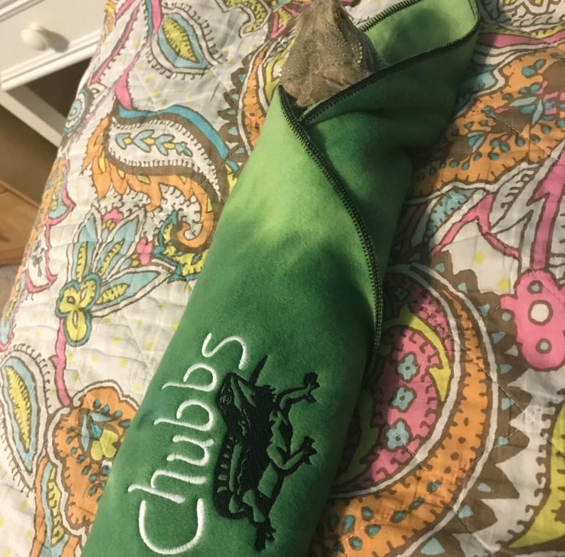 Bearded Dragon blanket Ubby with Dragon Design and Name image 2