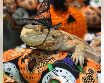 May include: A bearded dragon lizard wearing a small black and orange glittery witch hat with a thin chin strap. The lizard is resting on a fabric surface featuring a repeating pattern of orange pumpkins and white skull designs.