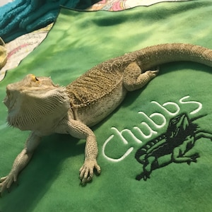 Bearded Dragon blanket Ubby with Dragon Design and Name image 1