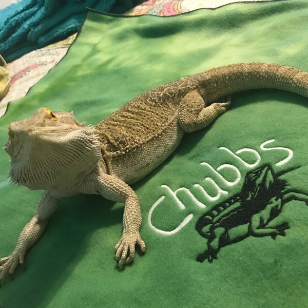 Bearded Dragon blanket Ubby with Dragon Design and Name