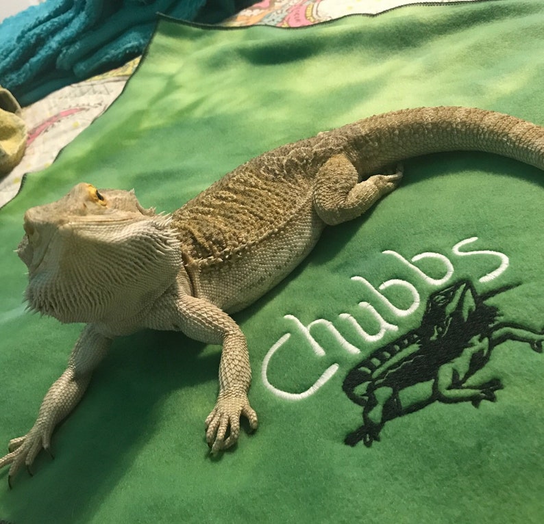 Bearded Dragon blanket Ubby with Dragon Design and Name image 1