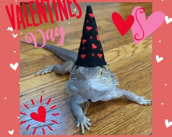 May include: A bearded dragon wearing a black cone hat decorated with red hearts. The image has a Valentine's Day theme with the words "Valentines Day" in pink and red hearts scattered around the border.