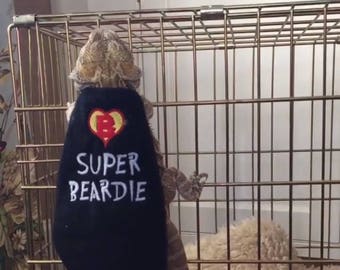 May include: A bearded dragon wearing a black cape with a red heart and the text "SUPER BEARDIE" in white.