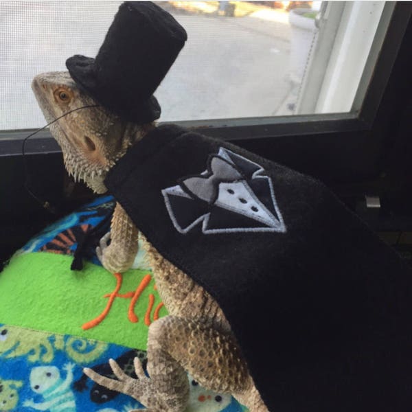 Bearded Dragon Black Top Hat and Tuxedo Cape Costume