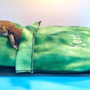 May include: A green fleece-lined pet bed with the word "Kermit" embroidered on it. A brown bearded dragon lizard is lying on the bed.