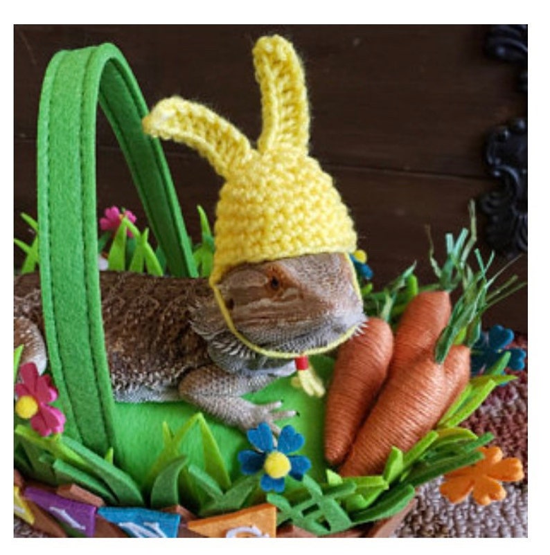 Bearded Dragon Easter Bunny Hats and Capes Costume image 0