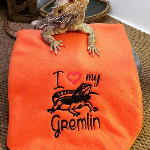 Bearded Dragon Decal/sticker Got Crickets 3X4 Etsy