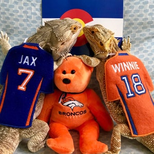 Bearded Dragon Football Jersey Cape customized and personalized