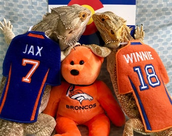 May include: Two bearded dragons wearing orange and blue football jerseys with the names "Jax 7" and "Winnie 18". A plush orange teddy bear with the Denver Broncos logo is in the middle.