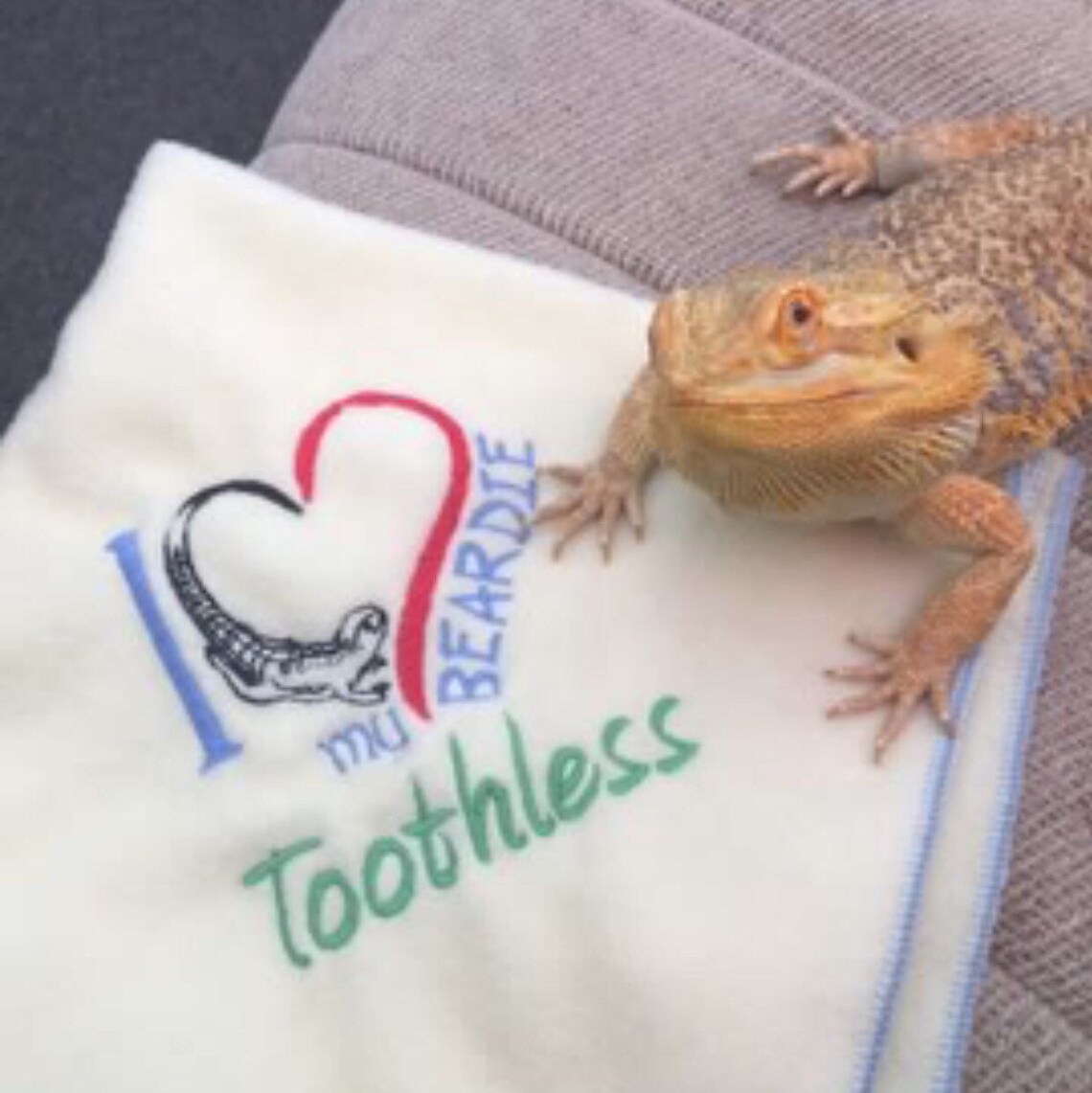 Bearded Dragon Blanket Ubby I love My Beardie Blanket Ubby Etsy