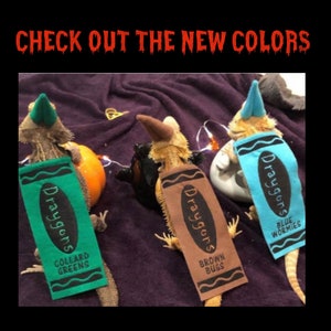 May include: Three bearded dragons wearing Crayola crayon costumes. The costumes are blue, brown, and green and have the Crayola logo and the name of the colour on them. The text on the costumes reads "Draygons" and the colour name.