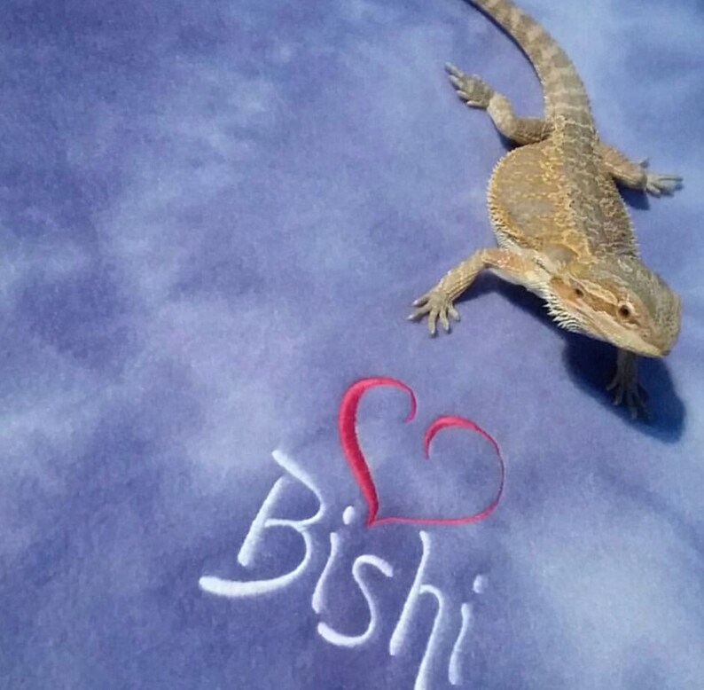 Bearded Dragon Blanket Ubby Reptile Blanket Ubby Etsy
