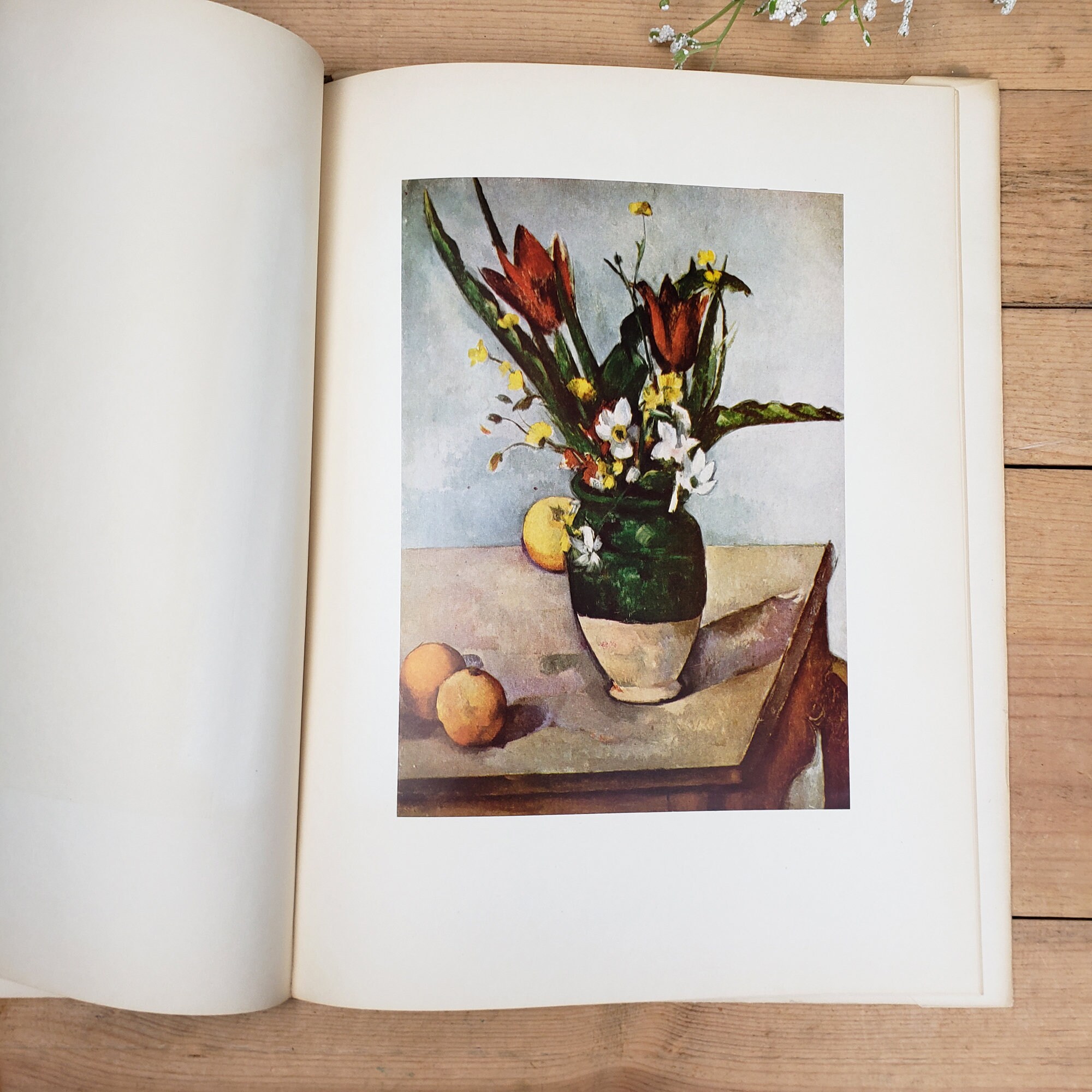 Vintage 1952 Cézanne Vintage 1952 Cézanne