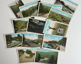 Mohawk Trail Color Postcards: Lot of 13 Souvenir Photos