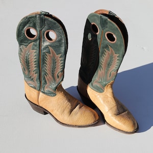 May include: A pair of tan leather cowboy boots with green and brown embroidery. The boots have a pointed toe and a high heel.