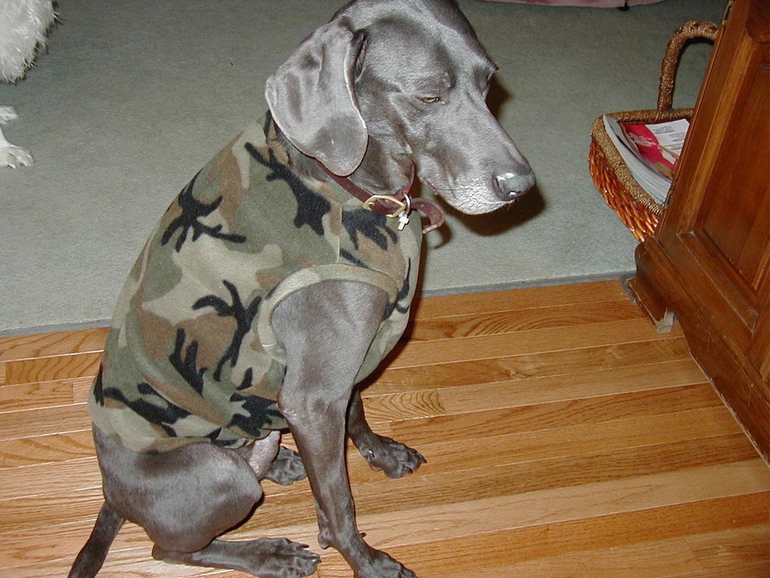 Camo Dog Sweater/vest by Angelpuppi Etsy