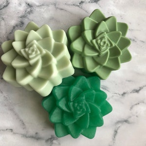 Succulent Hand Soaps