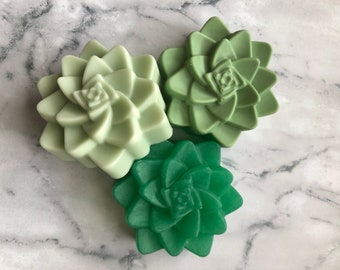 Succulent Hand Soaps