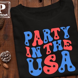 May include: Black t-shirt with the text "Party in the USA" in red, white, and blue retro-style lettering with stars.