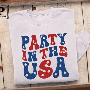 May include: A white sweatshirt with the text "Party in the USA" in red and blue letters with white stars.