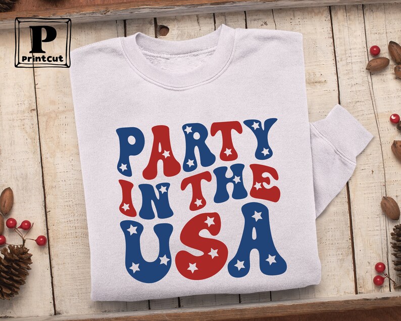 May include: A white sweatshirt with the text "Party in the USA" in red and blue letters with white stars.