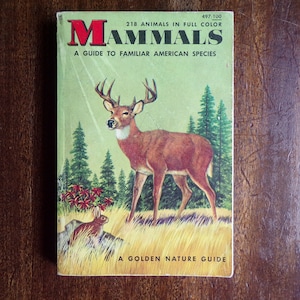 Golden Guide to Mammals ~ A Guide to Familiar American Species