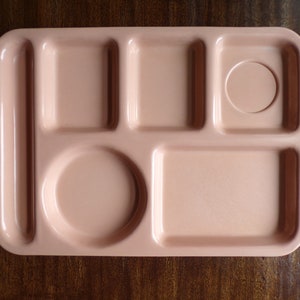 May include: A pink plastic tray with six compartments, including a round section and a rectangular section.
