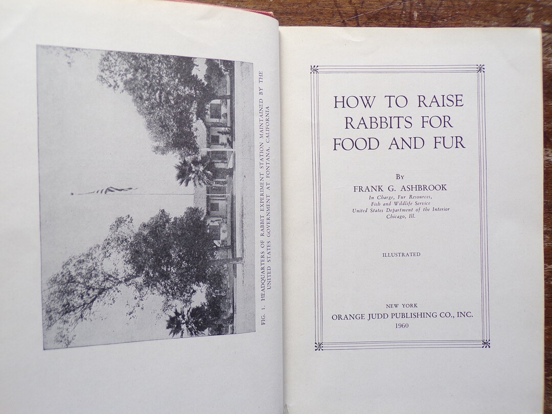 How to Raise Rabbits for Food and Fur by Frank G. Ashbrook 1960 Etsy