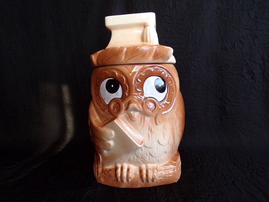 Wise Owl Cookie Jar Etsy