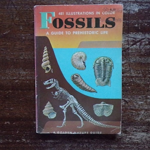 Golden Guide to Fossils ~  A Guide to Prehistoric Life