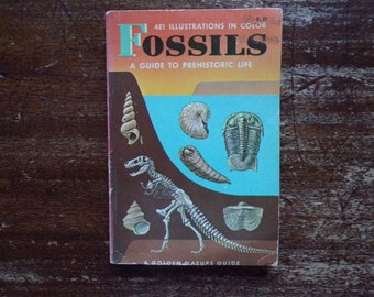 Golden Guide to Fossils ~  A Guide to Prehistoric Life