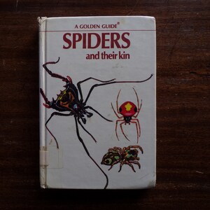 May include: A Golden Guide book titled "Spiders and their kin" with illustrations of three different spiders. The book cover features a black and brown spider with long legs, a red spider with a yellow spot on its back, and a green spider with black stripes.
