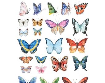 Ceramic Decal - Overglaze Butterfly