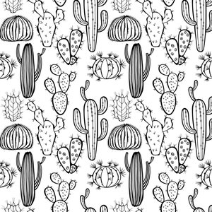 Decalcomania in ceramica sotto smalto, trasferimento sotto smalto - Pianta - Cactus